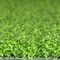 Outdoor And Indoor Artificial Golf Grass Putting Green 10-15mm supplier
