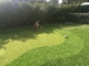 Synthetic Putting Green Golf Turf Grass Gateball Artificial 13m Height supplier