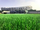Football Natural Grass Turf Artificial Lawn Woven 50mm Height supplier