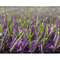 Colored Garden Artificial Grass Oasis 110 Wear Resistant supplier