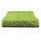 C Type Monofilament Artificial Carpet Grass 20mm Height supplier