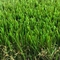 Olive Green Garden Artificial Grass Double Wave S Type Monofilament supplier