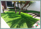 Fire Resistance Outdoor Artificial Grass With Monofil PE + Curled PPE Material supplier