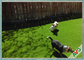 35 MM Friendly UV  Resistance Pet Artificial Turf / Synthetic Grass For Dog Playing supplier