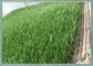 Children Favourite Landscaping Artificial Grass For Garden Decoration supplier