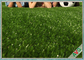 Indoor Synthetic Pet Artificial Turf , Outdoor Carpet Grass Field Green / Apple Green supplier