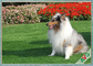 Removable Eco - Friendly Synthetic Pet Artificial Turf For Pet Cat Carpet / Natural Garden supplier