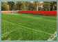 Residential / Commercial Landscaping Pet Artificial Turf With Monofil PE Curly PPE Materal supplier