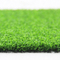 Padel Tennis Court Fake Artificial Grass Outdoors Mat Turf supplier