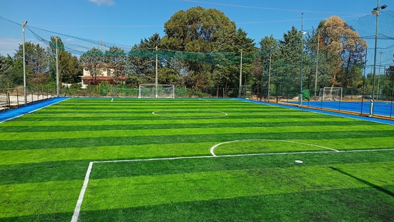 FIFA Approved 50mm Synthetic Grass Lawn Football Plastic Grass Manufacturer supplier