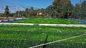 Football Artificial Turf Grass , Artificial Turf For Sports Fields supplier