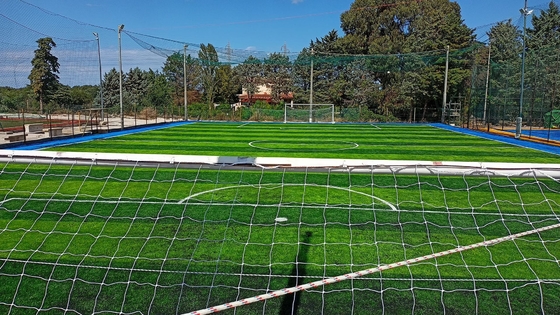 PRO 60mm Soccer Football Artificial Turf Grass Futsal Gazon Synthetique supplier