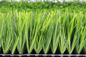 Green FIFA Turf Football Grass 60mm Football Artificial Grass supplier