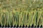 FOOTBALL SOCCER Grass 60mm Artificial Grass FIFA Certified supplier