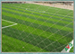 Straight Monofilament Yarn for Soccer Football With SGS Certificate 8800 Dtex supplier