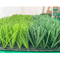 Lawn Carpet Football Artificial Turf 40mm Height 13000Detex supplier
