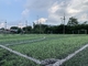 Green Cesped Lawn Artificial Grass Carpet 13000Detex PP Leno Backing supplier