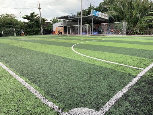 SGS Garden Artificial Turf Synthetic Grass Lawn For Soccer Field supplier