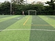 Soccer Field Fake Turf Grass Unique Diamond Tender Green Colour supplier