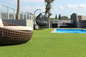 20mm Height Garden Artificial Grass Landscape Synthetic Turf C Type Monofilament supplier