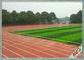 No Heavy Metals PP Woven Fabric Football Artificial Grass 13000 Dtex For Futsal supplier