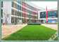 Environment Friendly Outdoor Artificial Grass Keeping Evergreen SGS Approval supplier
