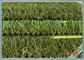 Eco - Friendly No Odor Outdoor Pet Artificial Grass W Shape Monofil PE + Curled PPE supplier