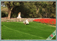 Easy Installation Synthetic Pet Grass Good Water Permeability Monofil PE + Curly PPE supplier