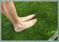 Durable Green Outdoor Pet Artificial Turf Synthetic Grass Carpet for Landscaping supplier