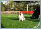 Durable Green Outdoor Pet Artificial Turf Synthetic Grass Carpet for Landscaping supplier