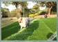 Field Green / Apple Green Good Drainage Pet Artificial Grass Soft Touch Fire Resistance supplier