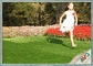 UV Resistant Dog Pet Artificial Turf / Synthetic Grass Eco Friendly Installation supplier