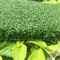 10mm Pile Height Natural Golf Artificial Grass / Golf  Indoor Putting Green supplier