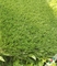13400Dtex High Ruggedness Outdoor Artificial Grass , 5 - 6 Year Warranty supplier