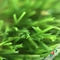 3 / 8'' Gauge PE + PP Material Flat Garden Artificial Grass For Exhibition supplier