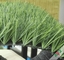 FIFA Standard Diamond Shape Football Artificial Turf with 160 Stitchs / 60mm Pile Height supplier