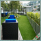 Strong Color Deluxe Turf Surface For Graden Field and Commercial Floor supplier