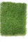 Leisure Area Fireproof 0.35cm Outdoor Artificial Grass supplier