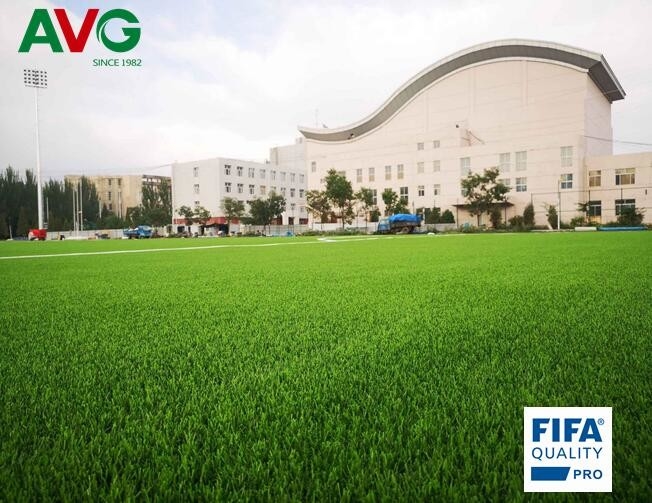 latest company news about AVG Comes the First Woven Grass System in China  0