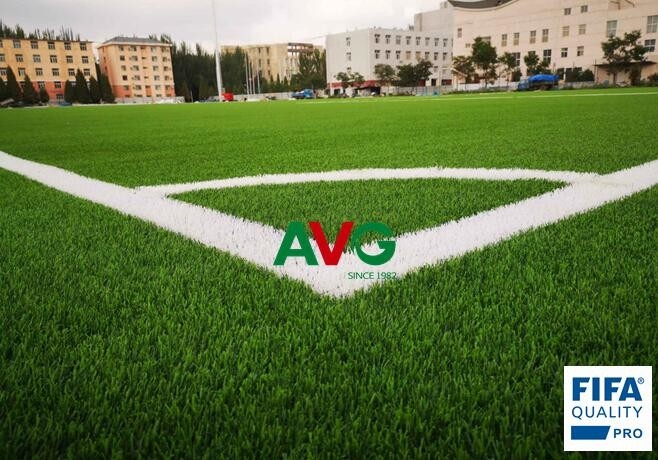 latest company news about AVG Comes the First Woven Grass System in China  1